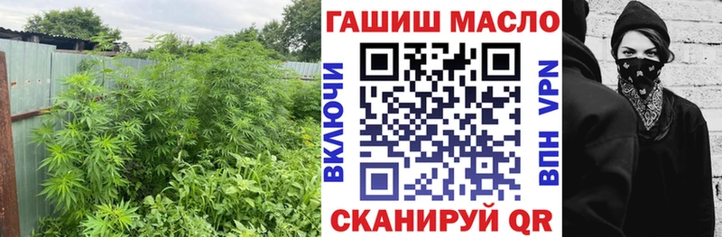 дарнет шоп  Томилино  площадка формула  ТГК Wax 